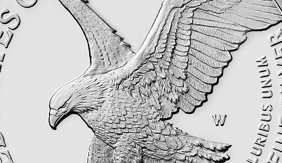 Landing eagle feather detail