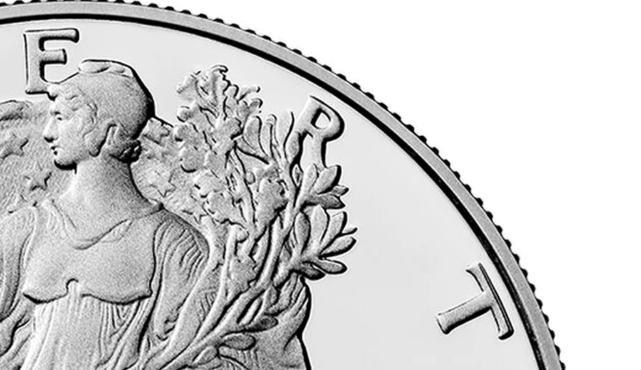 Silver American Eagle lettering detail