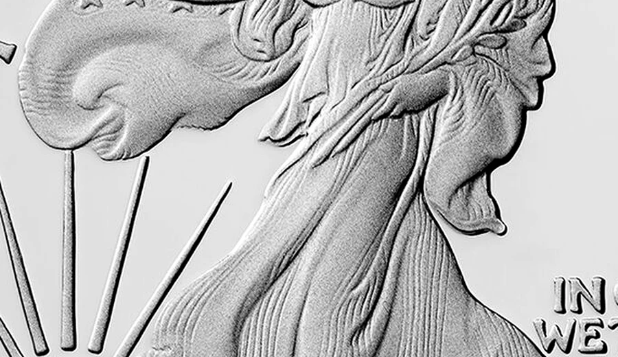 Walking Liberty detail