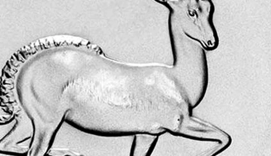 Springbok detail on a Silver Krugerrand