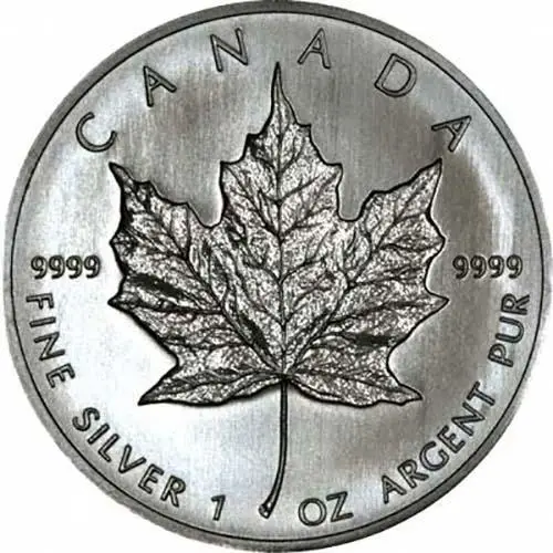 2007 1oz Silver Maple Leaf Bullion Coin