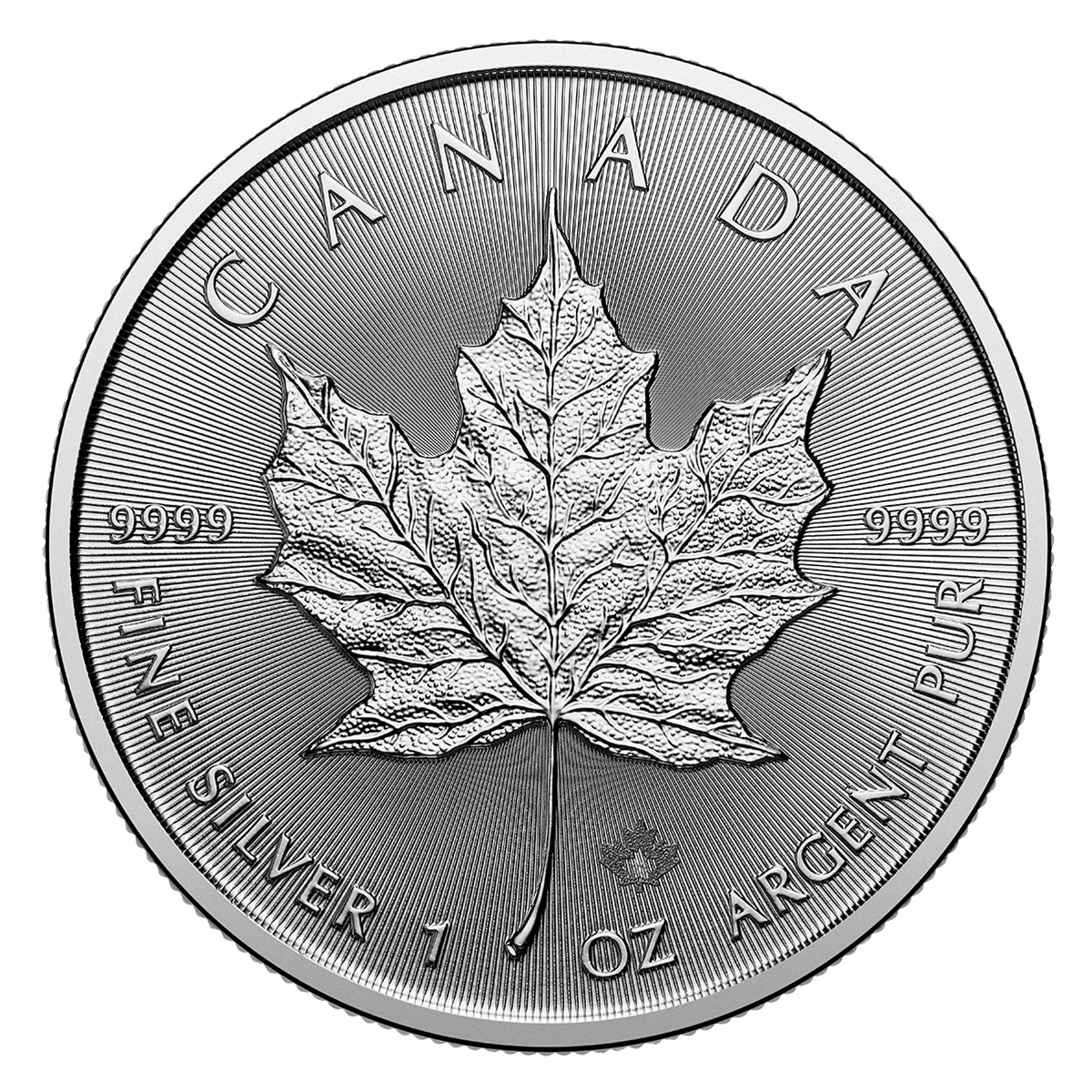 2025 1oz Silver Maple Leaf Bullion Coin