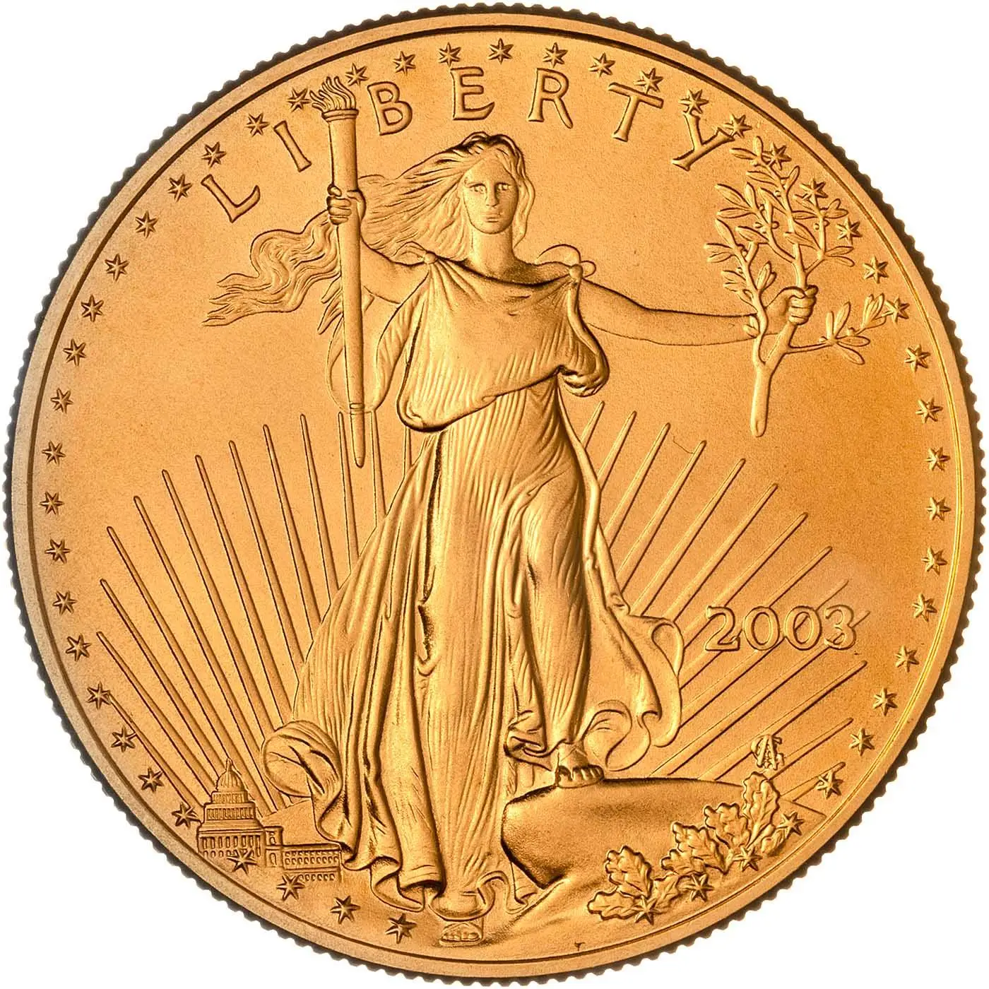 2003 1oz Gold American Eagle Bullion Coin