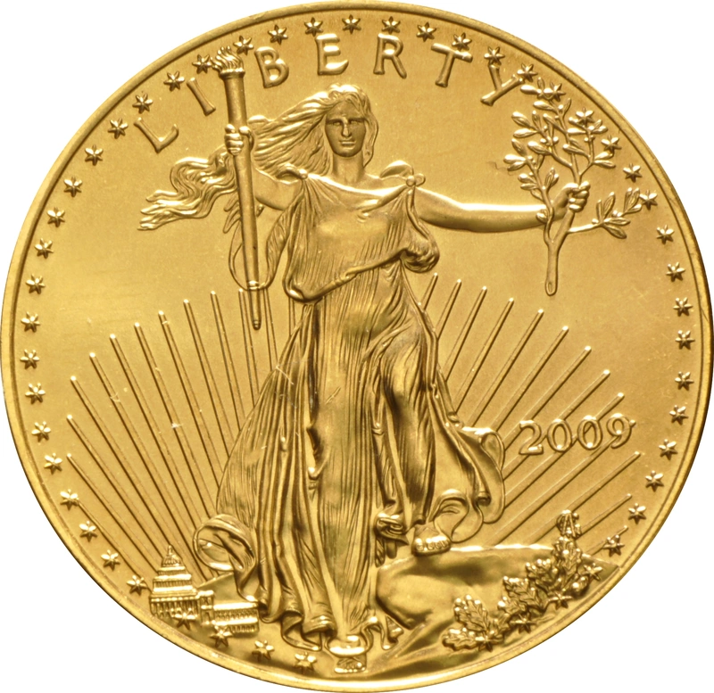 2009 1oz Gold American Eagle Bullion Coin