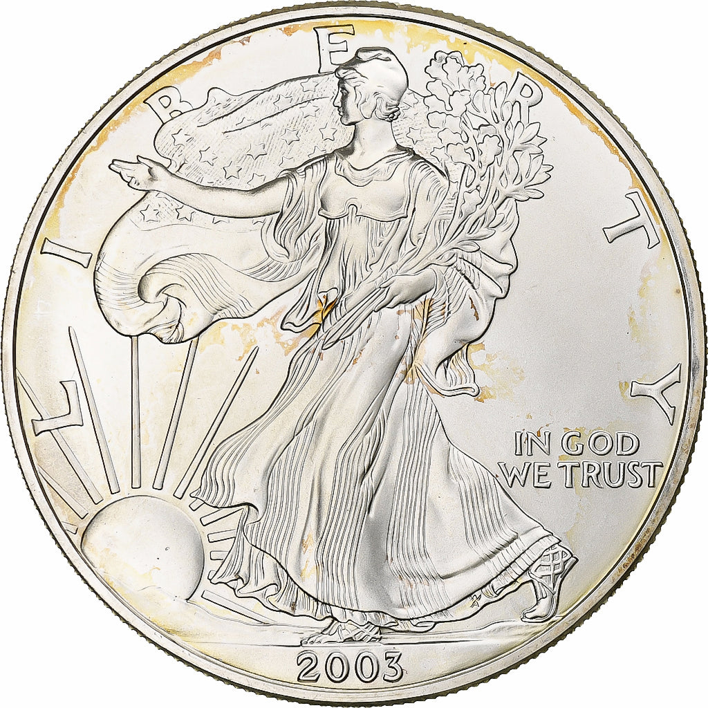 2003 1oz Silver American Eagle Bullion Coin